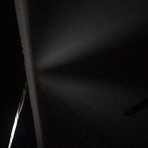 Meet your Posher, Abigail